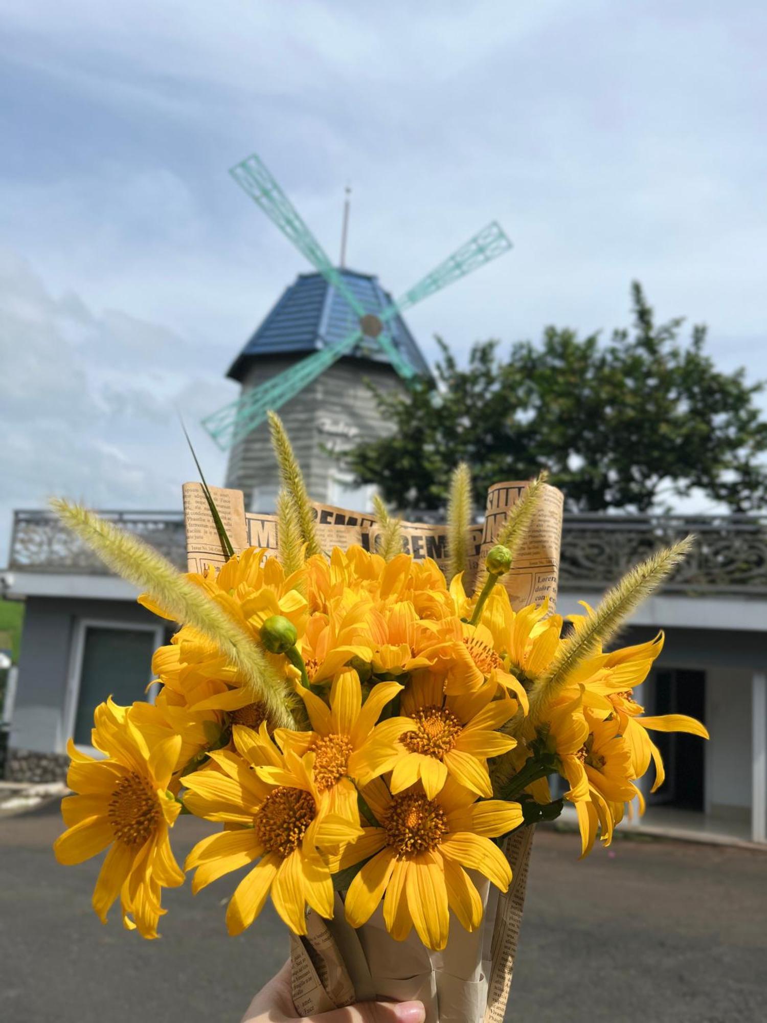 Homestay Tulip Garden เบ๋าลอก ภายนอก รูปภาพ